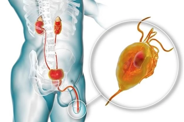 An Overview of Distal Renal Tubular Acidosis (dRTA)