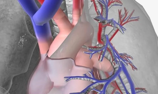 Understanding Muscular Fibrosis Multifocal Obstructed Vessels