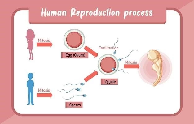 Understanding Placenta Neoplasms: Types, Pathophysiology, and Management