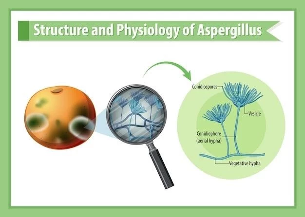 Overview of Generalized Morphea