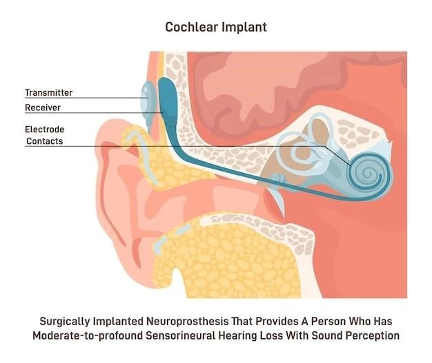 Understanding Microcephaly Chorioretinopathy Recessive Form