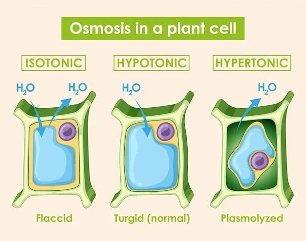 Comprehensive Guide to 5-alpha-Oxoprolinase Deficiency