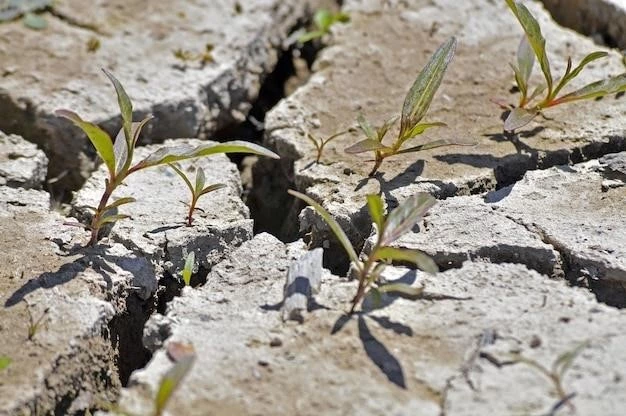 Worster-Drought Syndrome: Understanding the Condition and Management Approaches