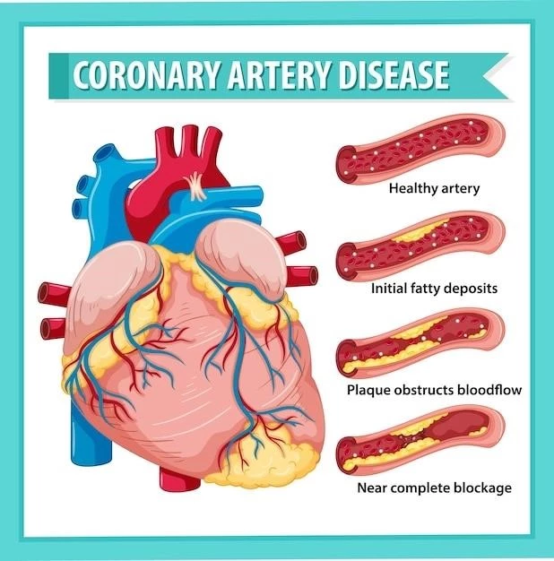 Understanding the Link Between High Cholesterol, LDL Receptors, and Atherosclerosis