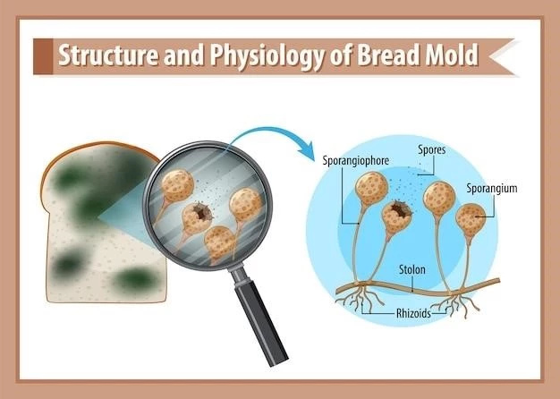 Comprehensive Guide to Dyskeratosis Congenita of Zinsser-Cole-Engman