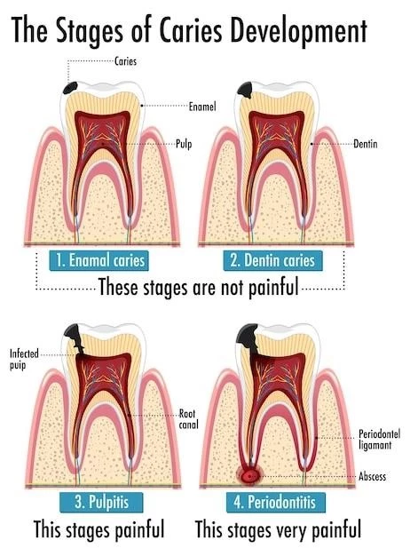 Overview of Charcot-Marie-Tooth Disease