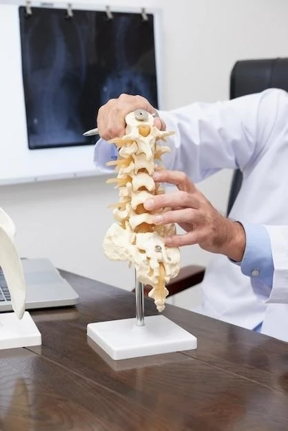 Understanding Vertebral Fusion Posterior Lumbosacral Blepharoptosis