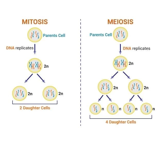 Understanding Inborn Amino Acid Metabolism Disorders