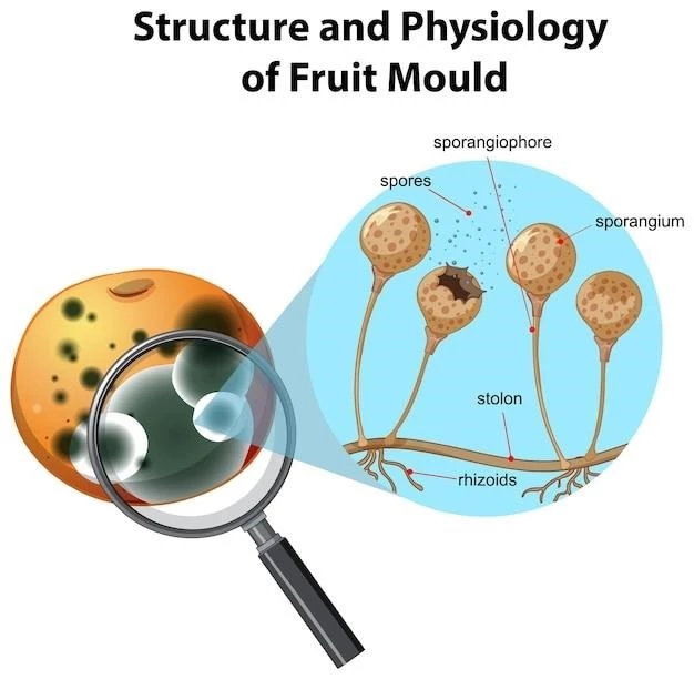 Understanding Symphalangism, Short Stature, Skeletal Anomalies, and Accessory Testis: A Genetic Perspective