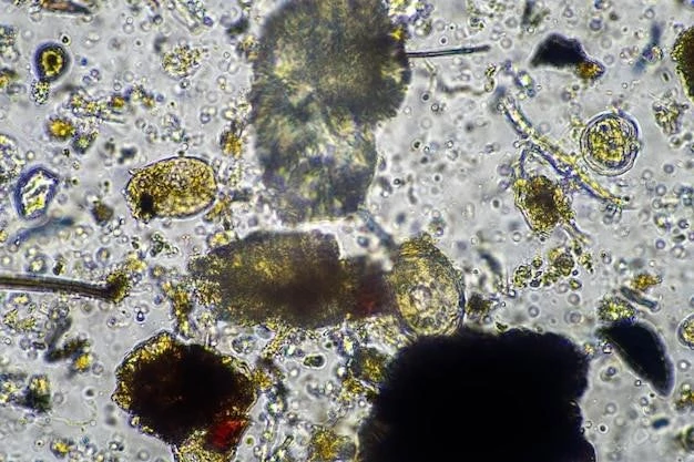 Overview of Thanatophoric Dysplasia Glasgow Variant